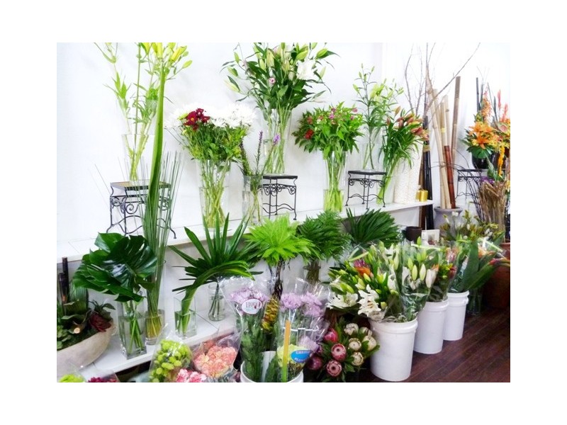 Lynns Florist 203 Darling Street, Echuca VIC 3564