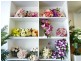 Lynns Florist 203 Darling Street, Echuca VIC 3564