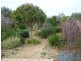 69 Cabernet Drive, Moama NSW 2731