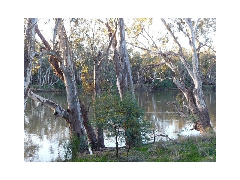 35 Riverview Court, Echuca VIC 3564