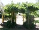 1094 Middleton Road, Bamawm VIC 3561