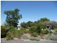 1094 Middleton Road, Bamawm VIC 3561