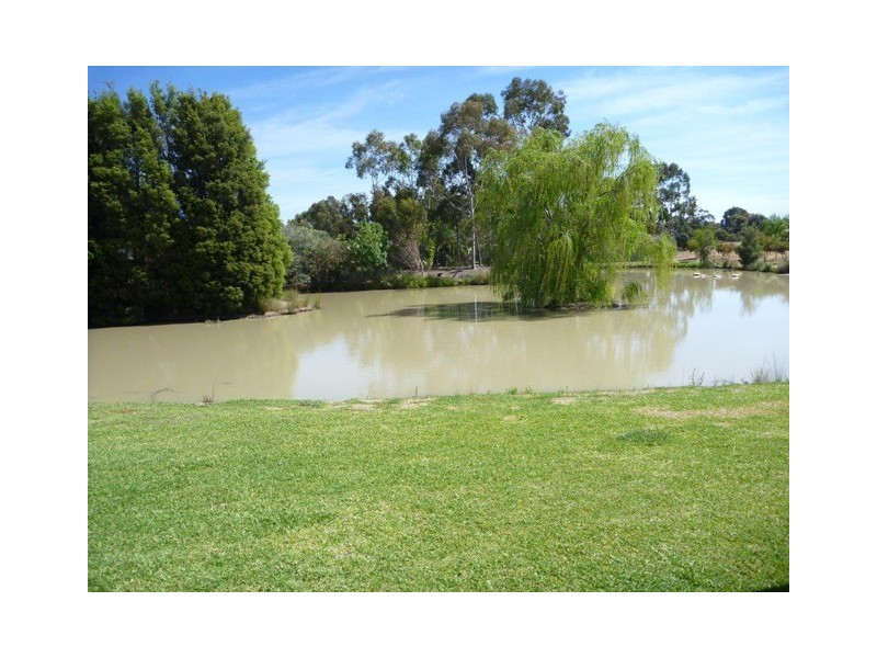 14 Kingfisher Dve East, Moama NSW 2731