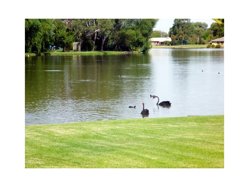 42 Kilkerrin Drive, Moama NSW 2731