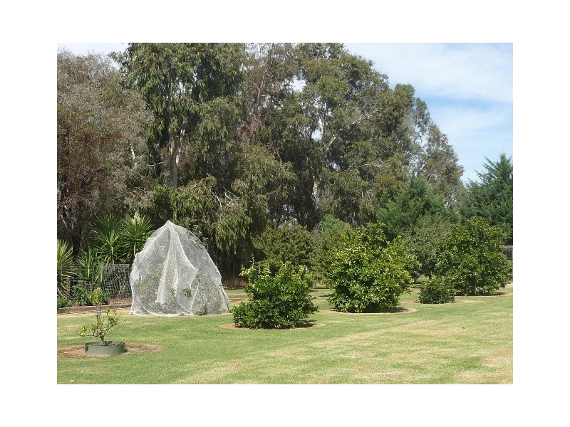 71 Mayfield Court, Moama NSW 2731