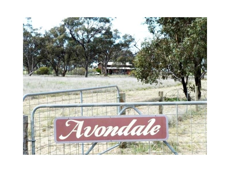 700 Thyra Road, Moama NSW 2731