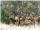 7424 Northern Hwy, Echuca VIC 3564