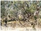 7424 Northern Hwy, Echuca VIC 3564