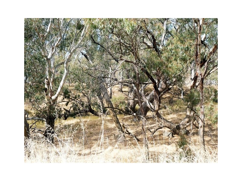 7424 Northern Hwy, Echuca VIC 3564