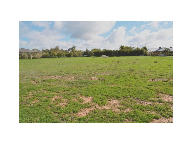 11 Rivergums Drive, Moama NSW 2731