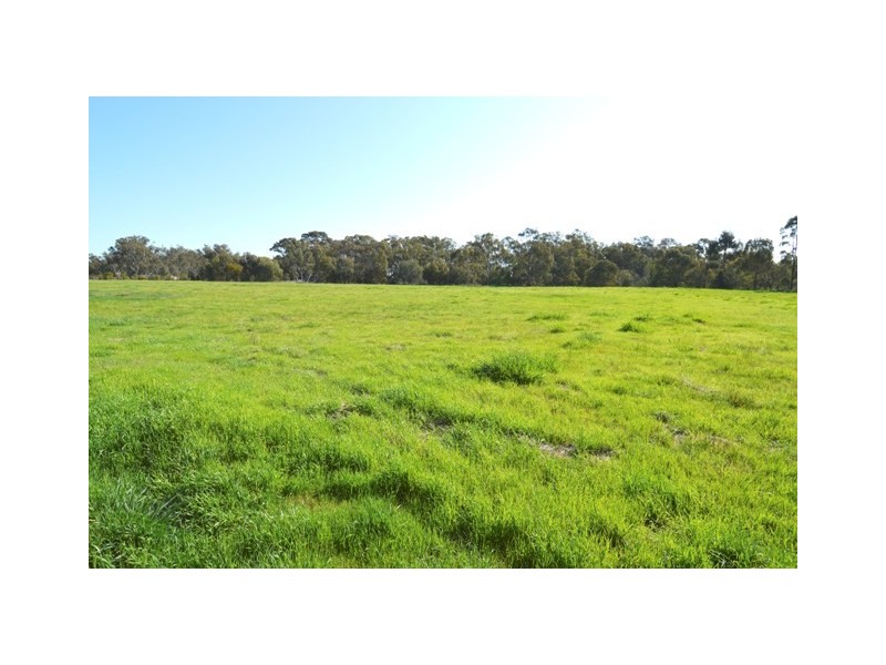 208 Anderson Road, Echuca VIC 3564
