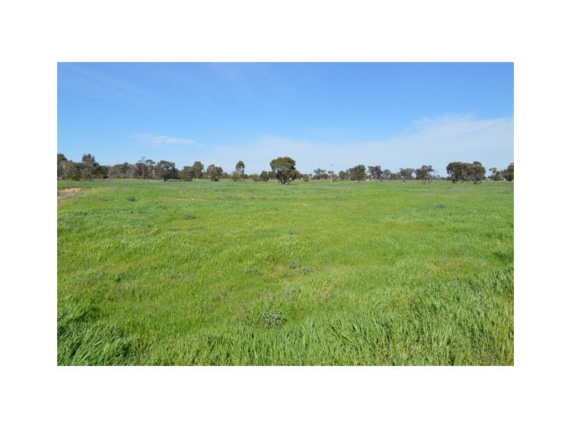 356 Cobb High Way, Moama NSW 2731