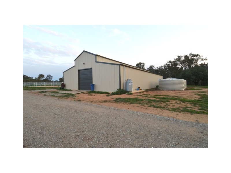 1197 Perricoota Road, Moama NSW 2731