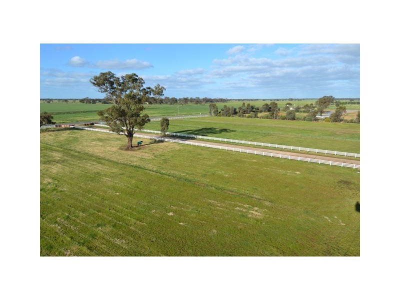 1197 Perricoota Road, Moama NSW 2731