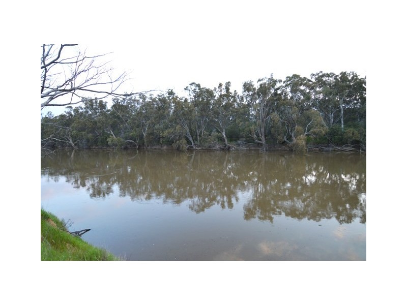 1197 Perricoota Road, Moama NSW 2731