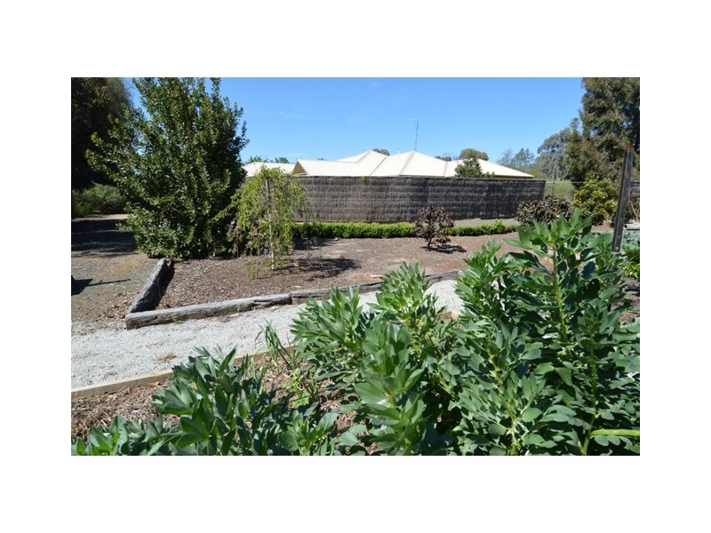 93 Rivergums Drive, Moama NSW 2731