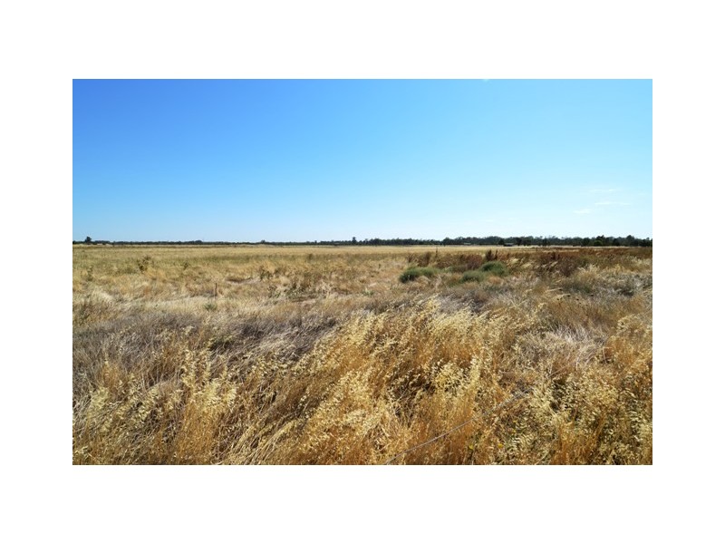 43 Peppernell Road, Echuca VIC 3564