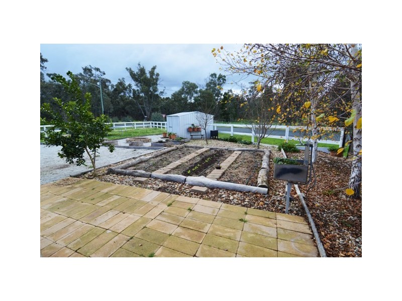 41 Shaw Street, Moama NSW 2731