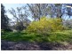 63 Campaspe Esplanade, Echuca VIC 3564