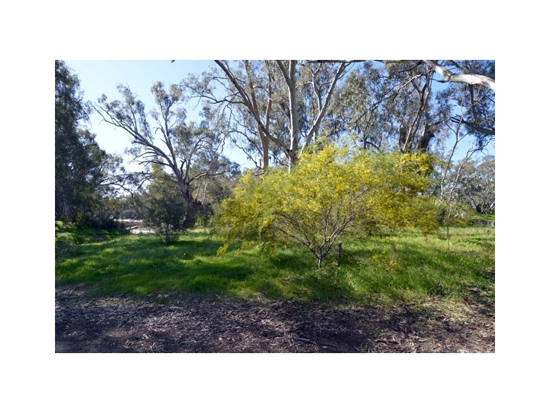 63 Campaspe Esplanade, Echuca VIC 3564
