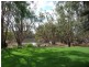 49 Wallala Dr “Lower Moira” via, Echuca VIC 3564