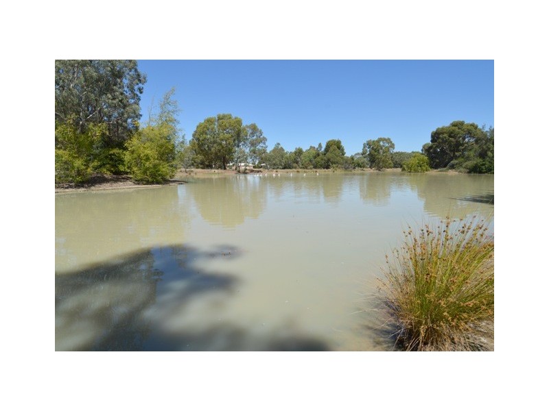 54 River View Court, Echuca VIC 3564