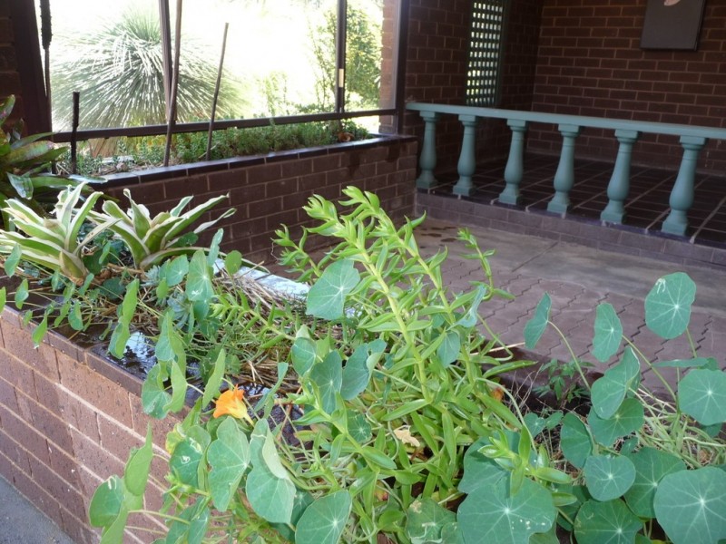 1 Jensen Crt, Echuca VIC 3564