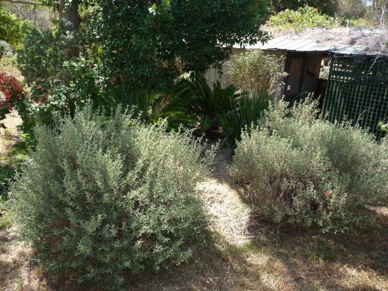 1 Jensen Crt, Echuca VIC 3564