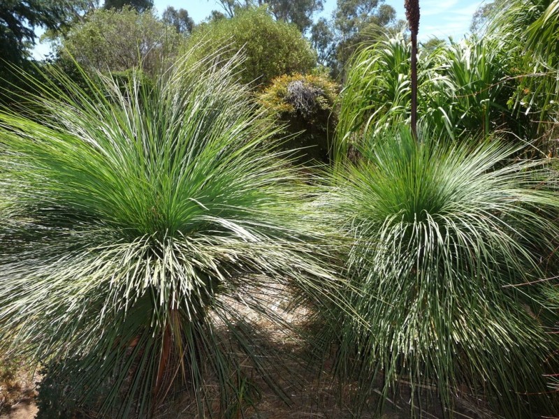 1 Jensen Crt, Echuca VIC 3564