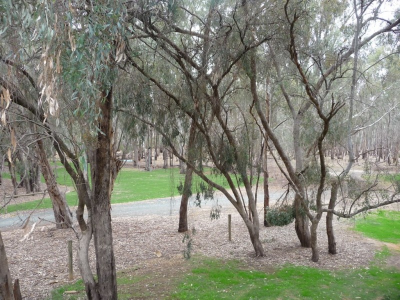 12 River Park Drive, Moama NSW 2731