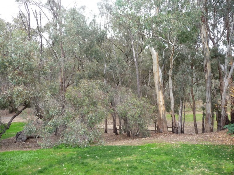 12 River Park Drive, Moama NSW 2731