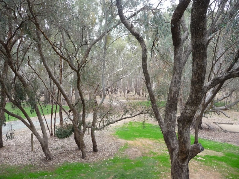 12 River Park Drive, Moama NSW 2731