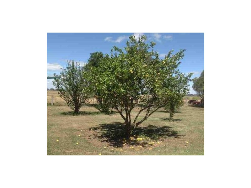 67 Nicholson Lane, Kotta VIC 3565