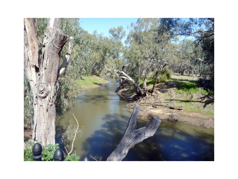 38 Rutley Crescent, Echuca VIC 3564