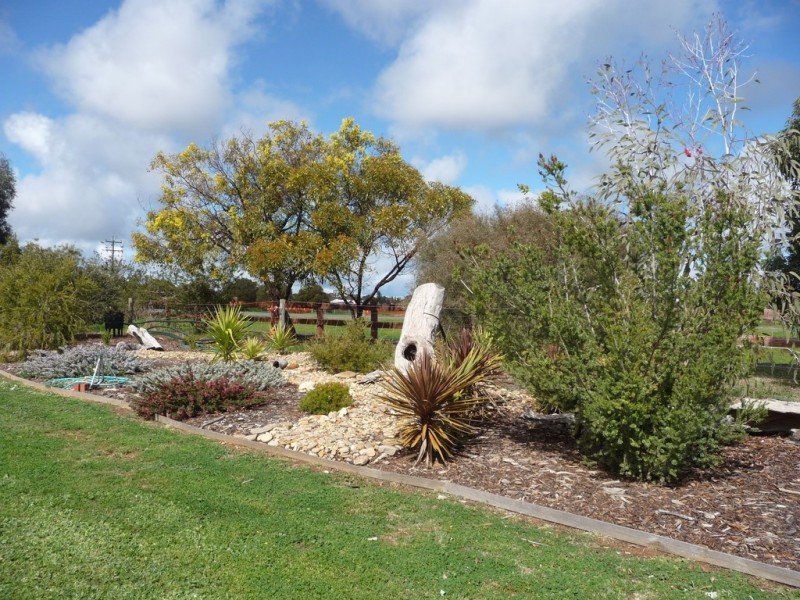 9 Shiraz Crt, Moama NSW 2731