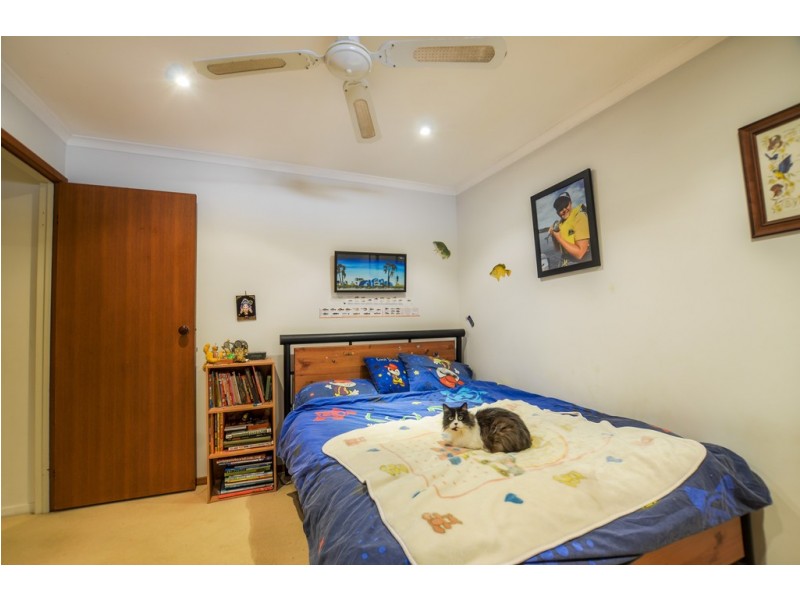 53 Rutley Crescent, Echuca VIC 3564