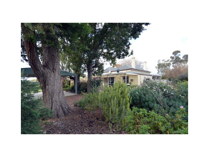 16 Echuca Road, Rochester VIC 3561