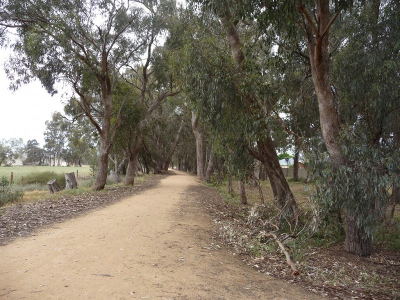 1 Dumfries Crt, Moama NSW 2731