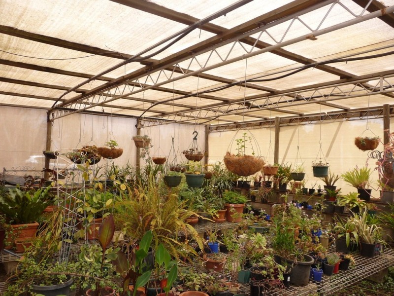 78 Echuca-Mitiamo Rd, Echuca VIC 3564