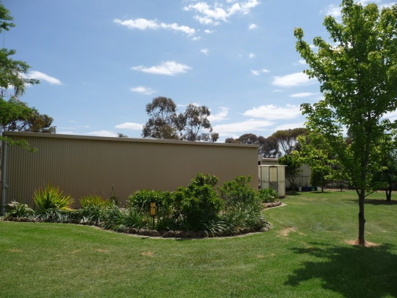78 Echuca-Mitiamo Rd, Echuca VIC 3564