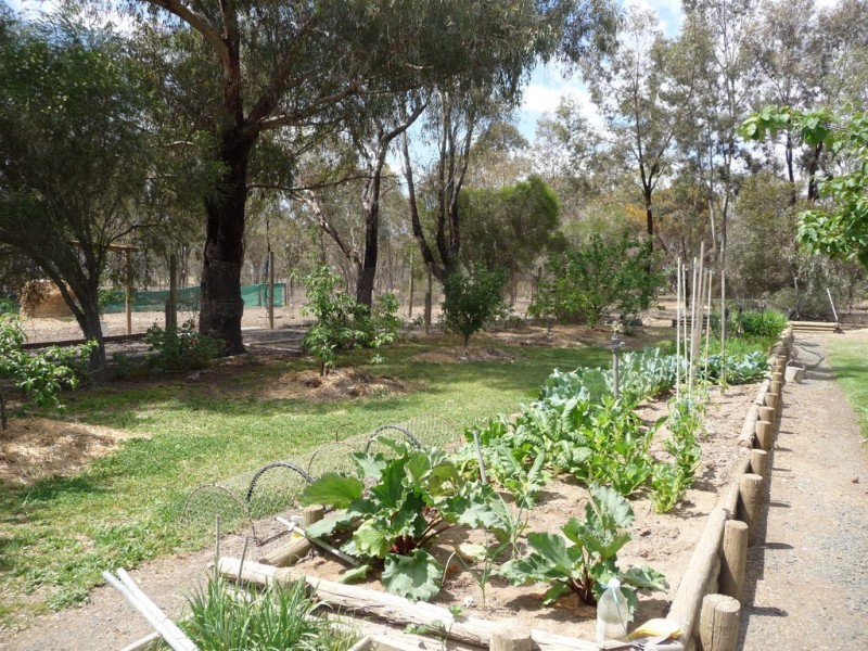 78 Echuca-Mitiamo Rd, Echuca VIC 3564