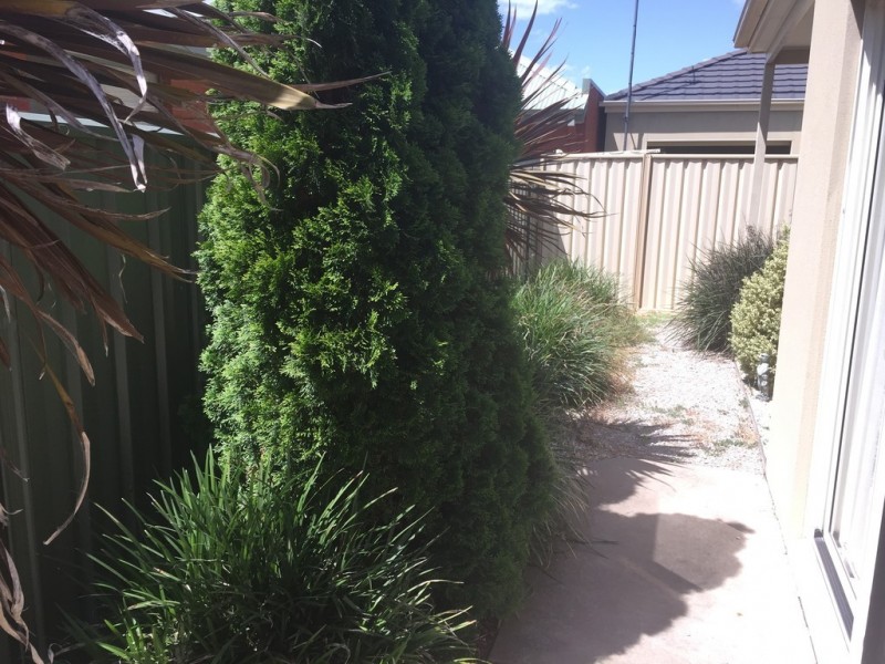 2/4B Warden Street, Moama NSW 2731