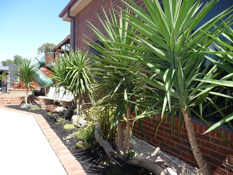 10 Chanter Street, Moama NSW 2731