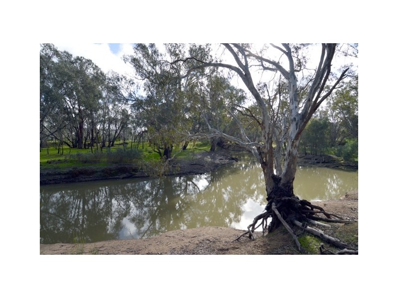 53 Schoeffel Drive, Echuca VIC 3564