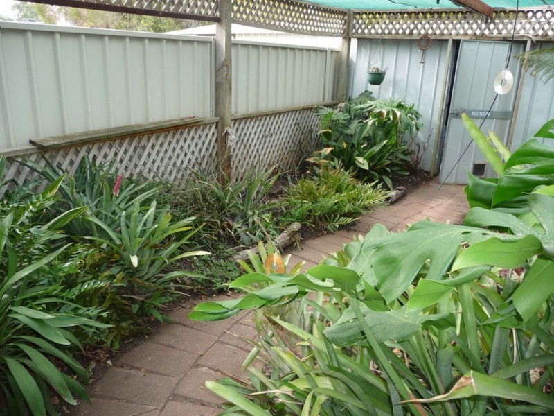 60 Bowen St, Echuca VIC 3564