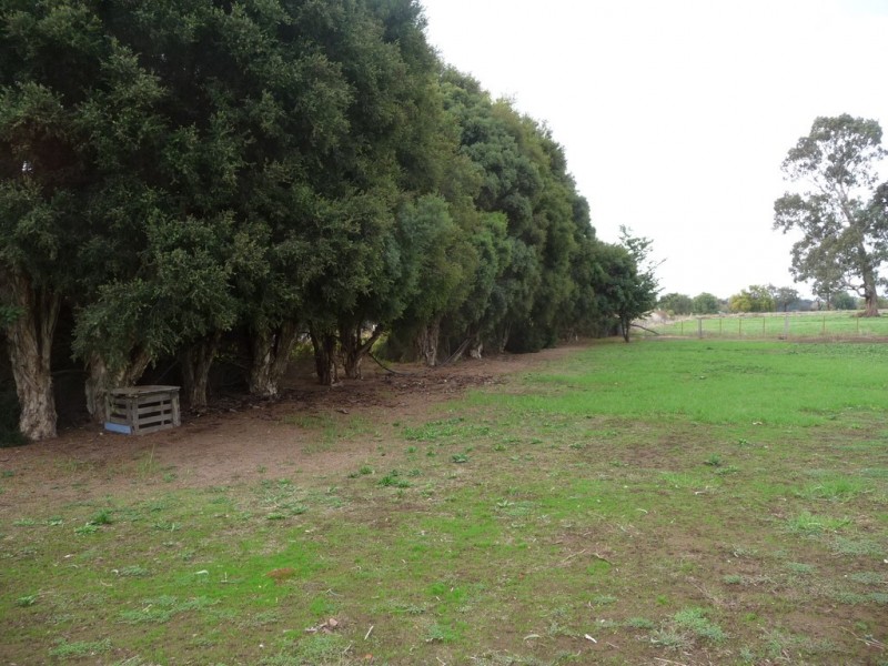 727 Bamawm Hall Road, Bamawm VIC 3561