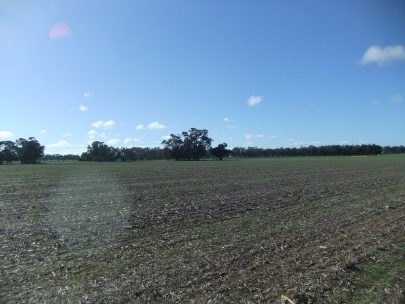 70 Cains Road, Natte Yallock VIC 3465