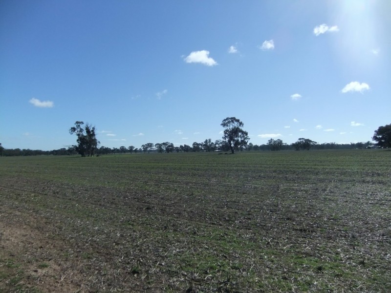 70 Cains Road, Natte Yallock VIC 3465