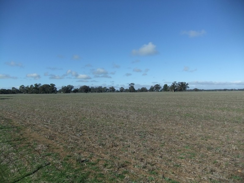 70 Cains Road, Natte Yallock VIC 3465