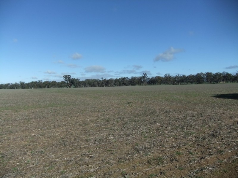 70 Cains Road, Natte Yallock VIC 3465